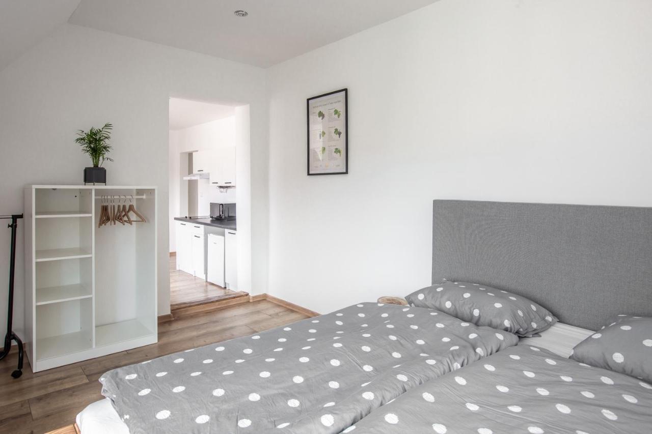 Apartmany Na Mikulasskem Namesti Znojmo Exterior foto
